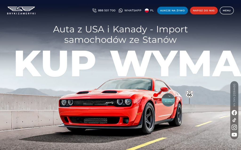 Профиль компании Bryki z Ameryki